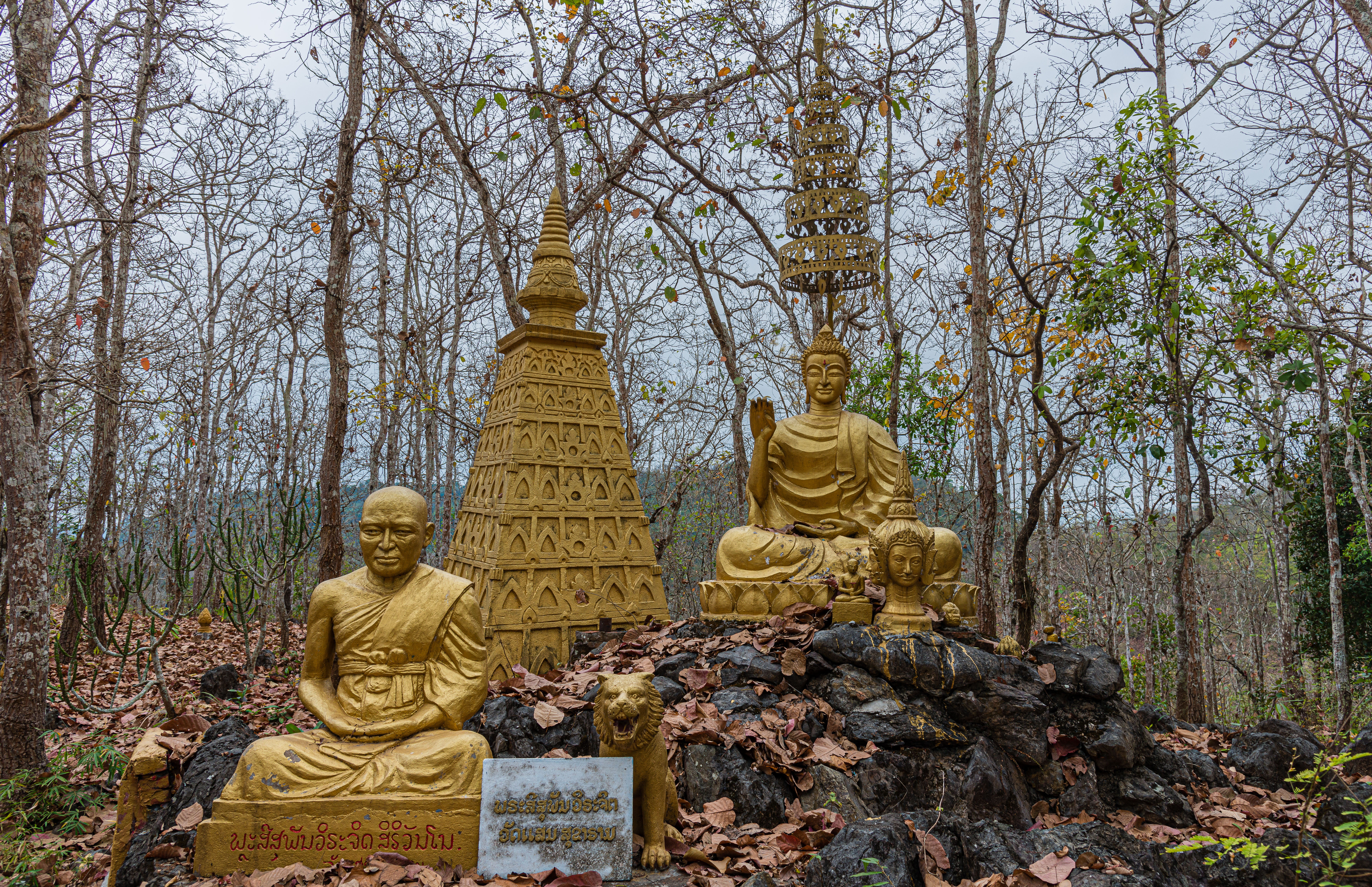 LA160344-In-the-forest-near-Xieng-Men.jpg